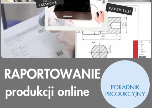 Raportowanie produkcji zdalne FlowVision